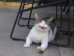 -UNI UNI(环亚凯瑟琳店)