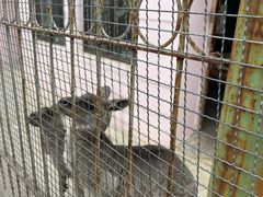 -青藏高原野生动物园