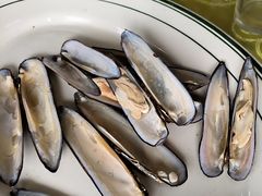 白灼沙锐-八仔大富楼·河鲜(西江店)