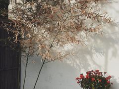 -空心山旅游区