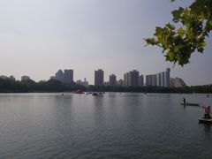 -莲花池公园