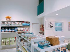 -BABYDOG宝贝狗宠物乐园(欧洲城店)