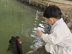 -乌村