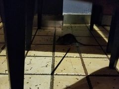 -喜鹊茶点.啫煲(车陂店)