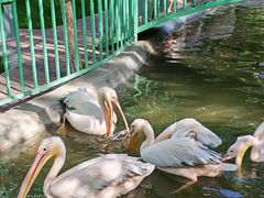 -水上乐园·欢乐世界