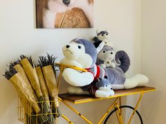 -Husky Go! 哈士奇体验馆·宠物咖啡厅狗咖