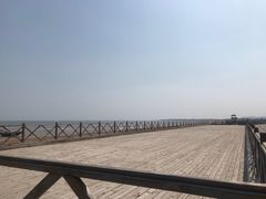 -日照海滨国家森林公园
