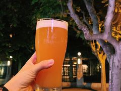 -Brew Bear 酿酒熊精酿啤酒餐厅(东湖路店)