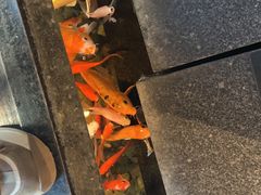 -颐和•海鲜砂锅粥•啫啫煲(奥林匹克广场店)