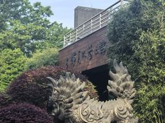 -杭州植物园