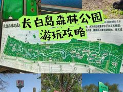 -长白岛森林公园