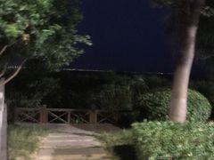 -太湖湖滨国家湿地公园-停车场