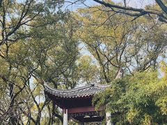 -天一阁博物院