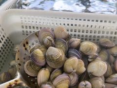 -南庄酒家·海鲜粤菜·25年老字号(环城南路店)