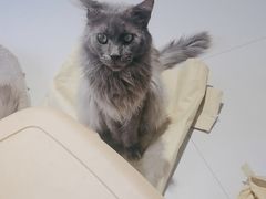 -平行世界·猫咖(首经贸店)