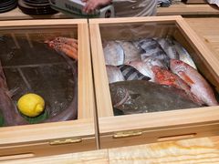 -镹·鱼料理  国产鱼使用店