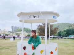 -玫瑰海岸文化旅游度假区