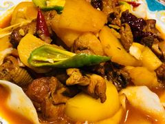 -巴依老爷新疆美食(常营店)