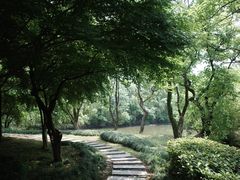 -西溪国家湿地公园