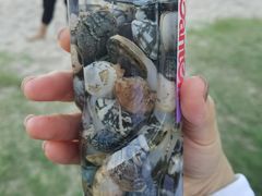 -海豚湾·大堂吧(厦门佰翔波特曼七星湾酒店)