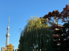 -浅草寺