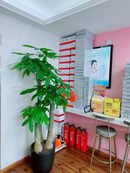 -成都苗方清颜专业祛痘