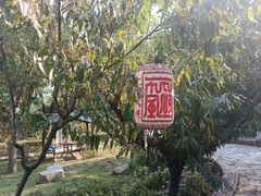 -北京凤凰岭