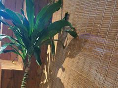 -徽三说·土徽菜·中国徽菜连锁品牌(一中店)