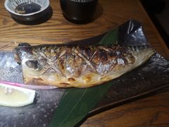 -大鮨寿司(吾悦广场店)