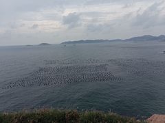 -枸杞岛