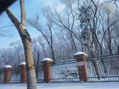 -黑龙江省森林植物园