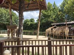 -上海野生动物园