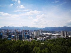 -金鸡山公园