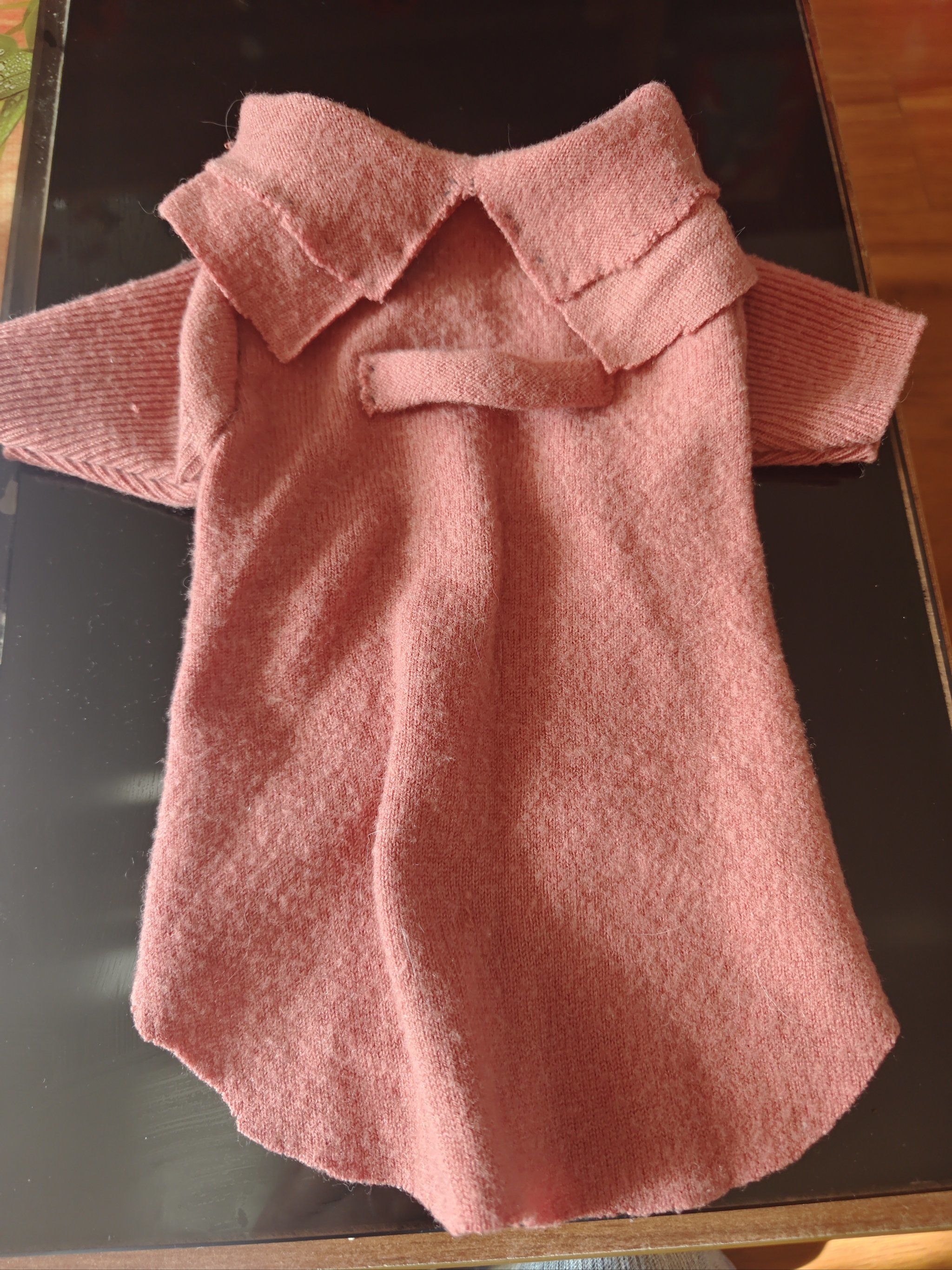 给自己的聪明可爱的小狗狗💕💕💕

#0元玩转这座城#旧衣服