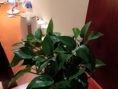 -兴芮温泉度假区