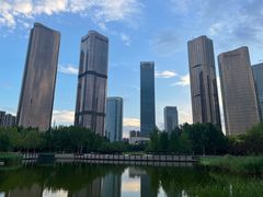 -大望京公园