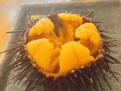 活海胆-海胆小馆(春柳店)