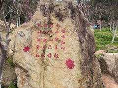 -广州市帽峰山景区