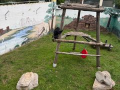 -西霞口神雕山野生动物世界