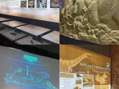 -中国西峡恐龙遗迹园