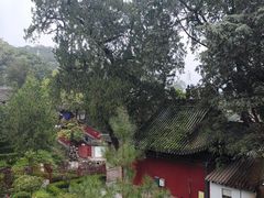 -玉泉观