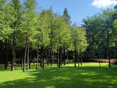 -晓港公园