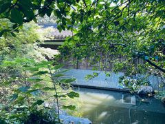 -乾园.魏庐湖景餐厅(花港店)