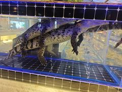 -川骄海鲜自助(河东店)