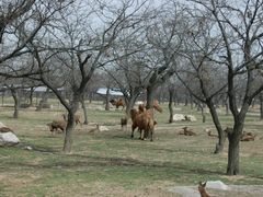 -西安秦岭野生动物园