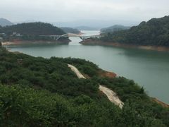 -广州市流溪河国家森林公园