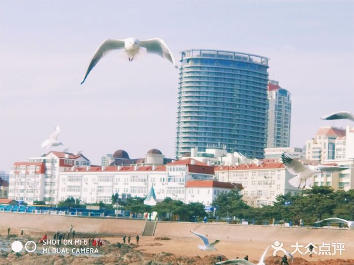 栈桥景区景点图片