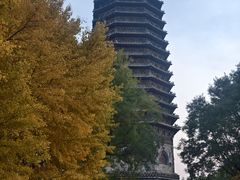 -玲珑塔公园