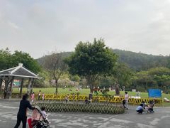 -火炉山森林公园