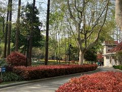 -徐家汇源景区-衡山公园